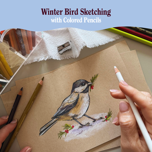 Winter Bird Sketching in Colored Pencils