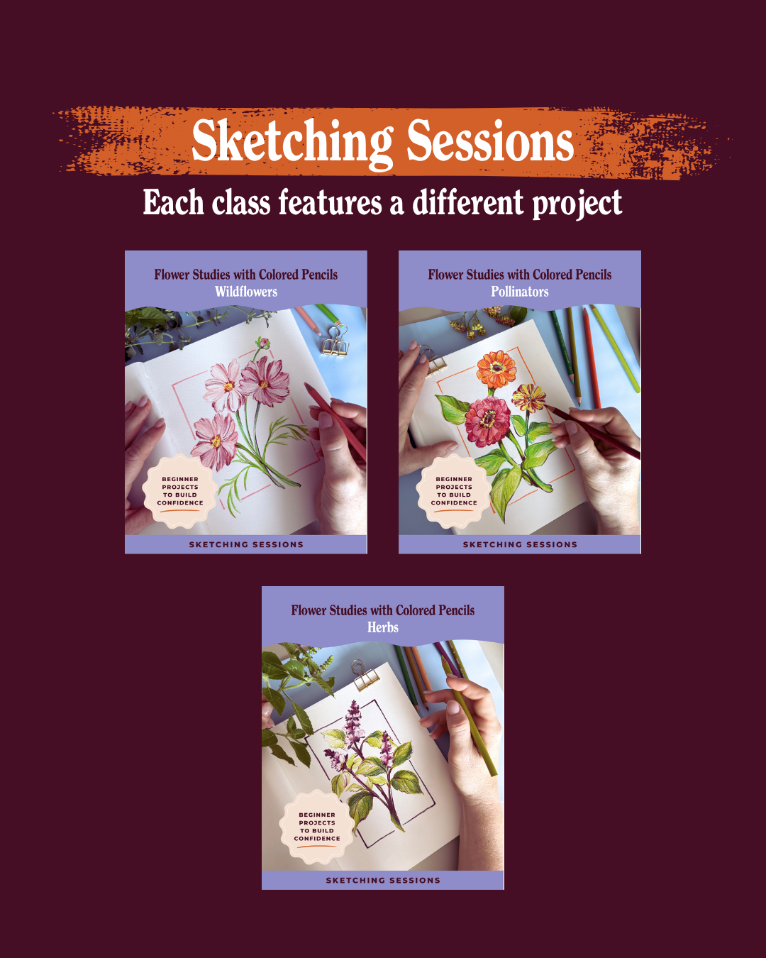 Flower Studies with Colored Pencils: Wildflowers (Sketching Sessions)