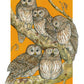 A Parliament of Owls 8x10" Art Print