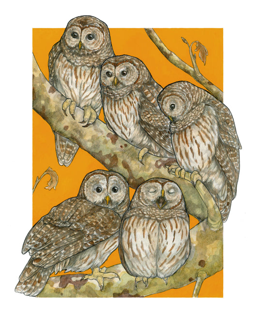 A Parliament of Owls 8x10" Art Print