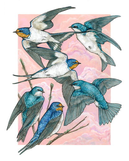 A Flight of Swallows 11x14" Art Print