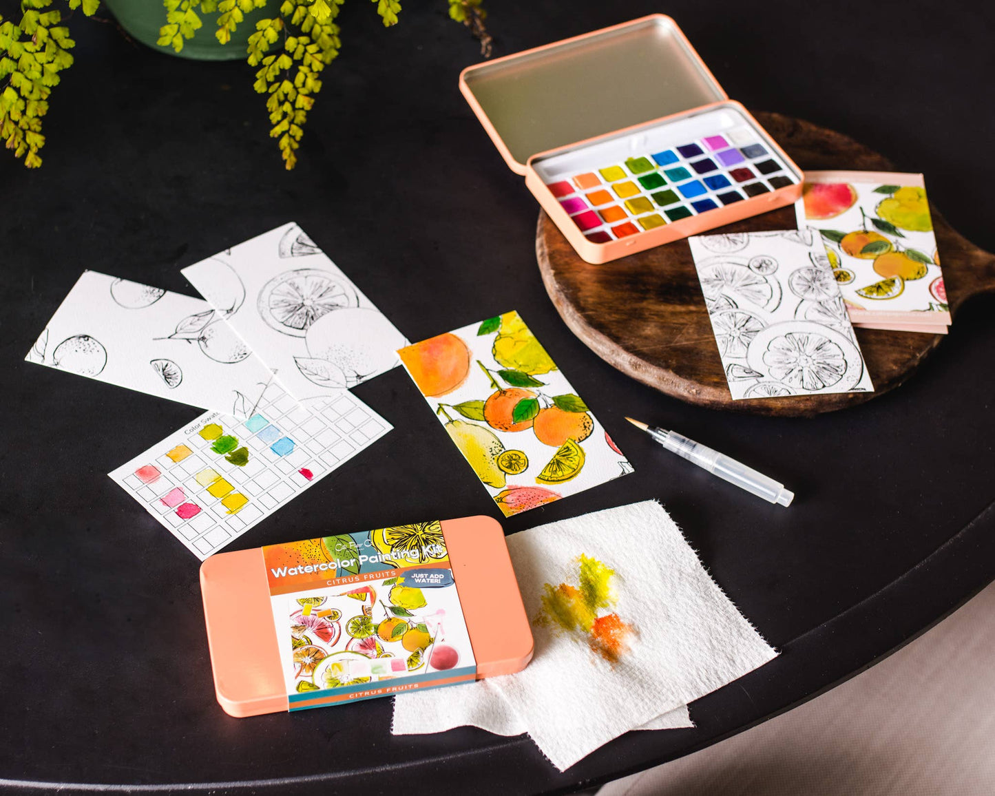 Citrus Fruits Watercolor Painting DIY Art Kit