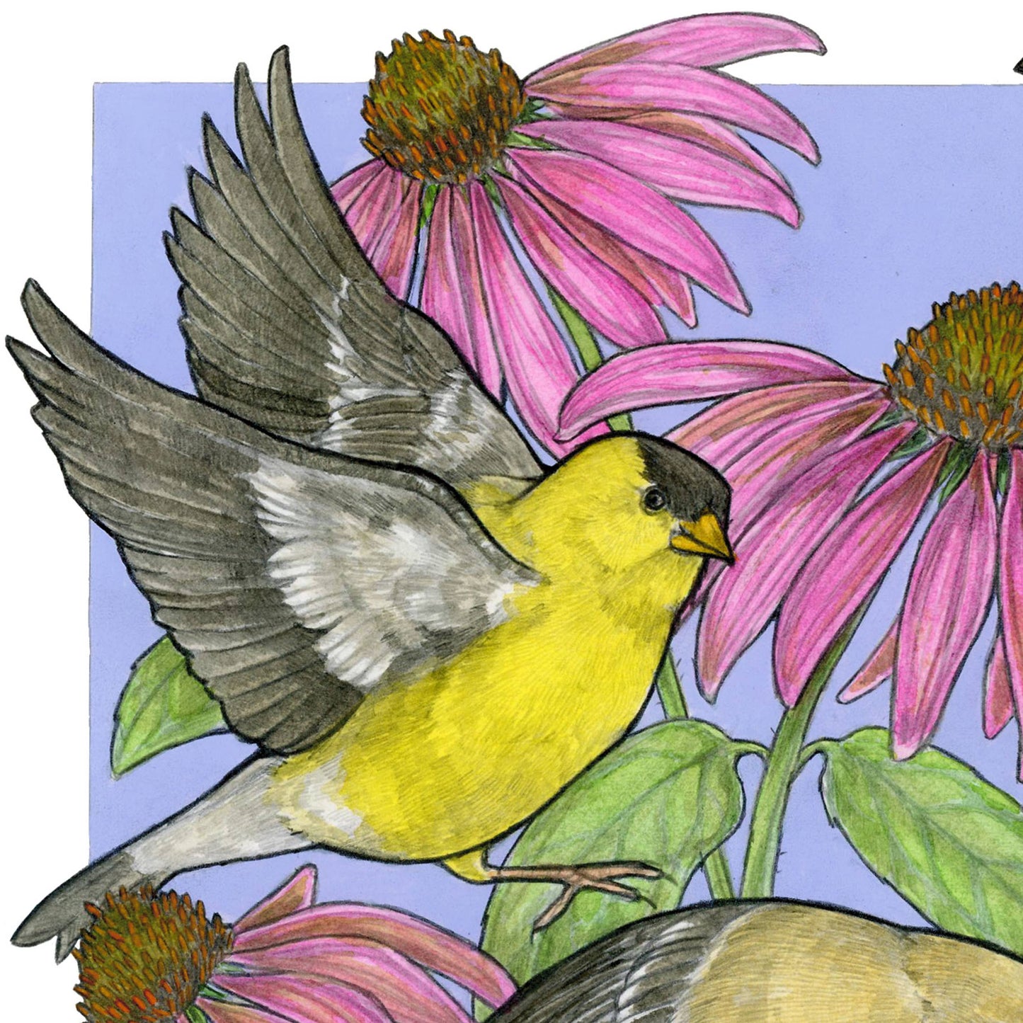 A Charm of Finches Art Print