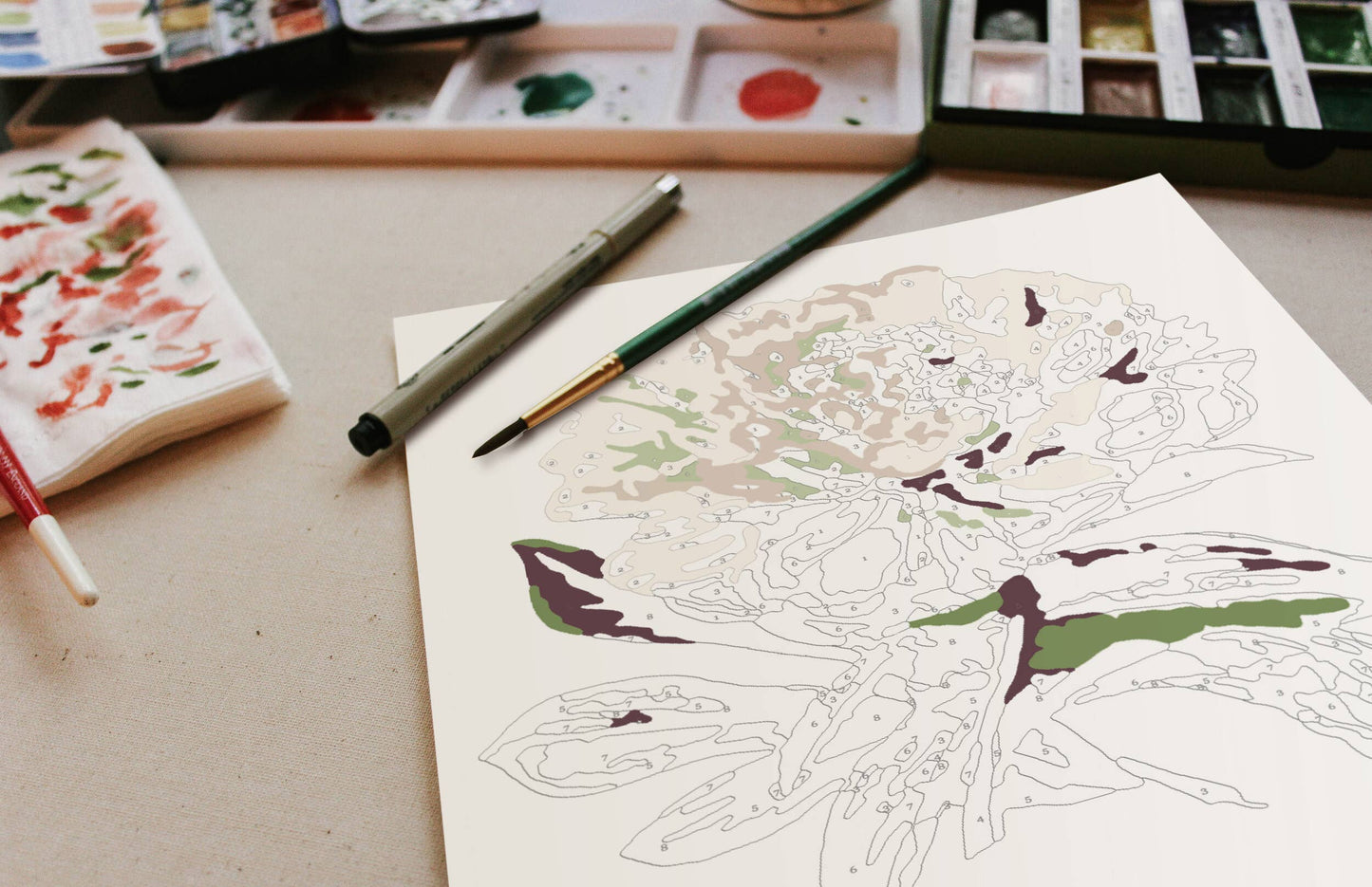 Peony Blossoms Paint-By-Numbers DIY Art Kit