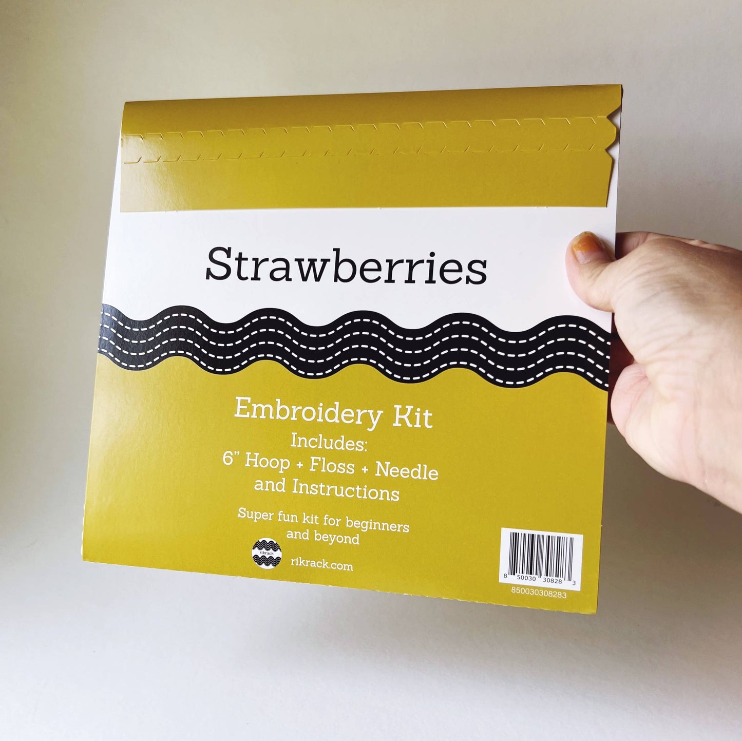 Strawberries Embroidery DIY Art Kit